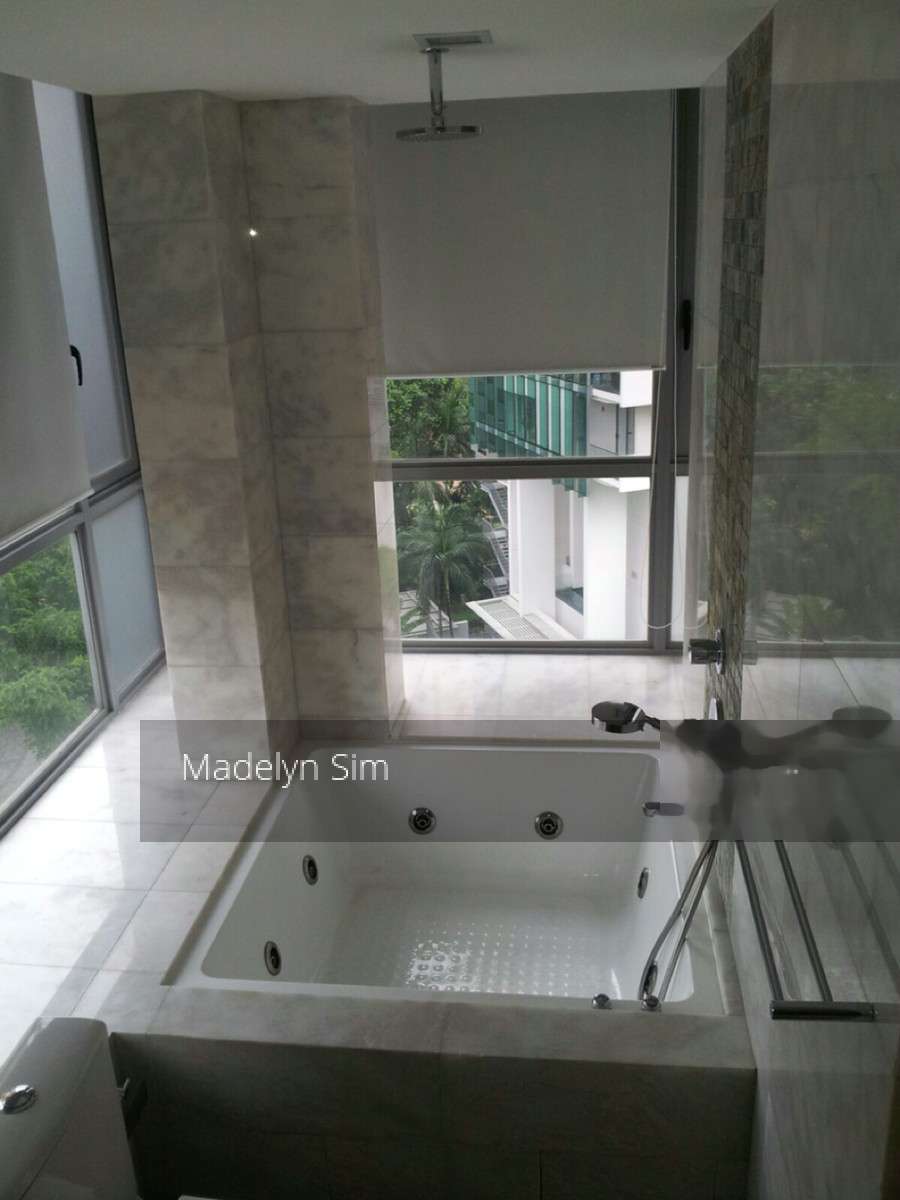 Angullia Park Residences @ Orchard (D10), Apartment #125411062